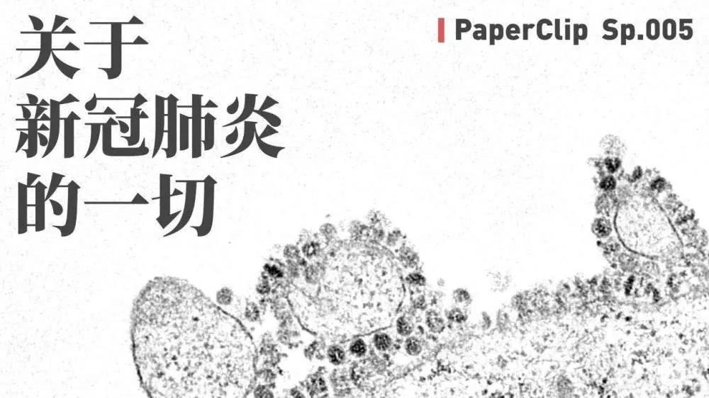 關于新冠肺炎的一切.jpg 關于新冠肺炎的一切.jpg