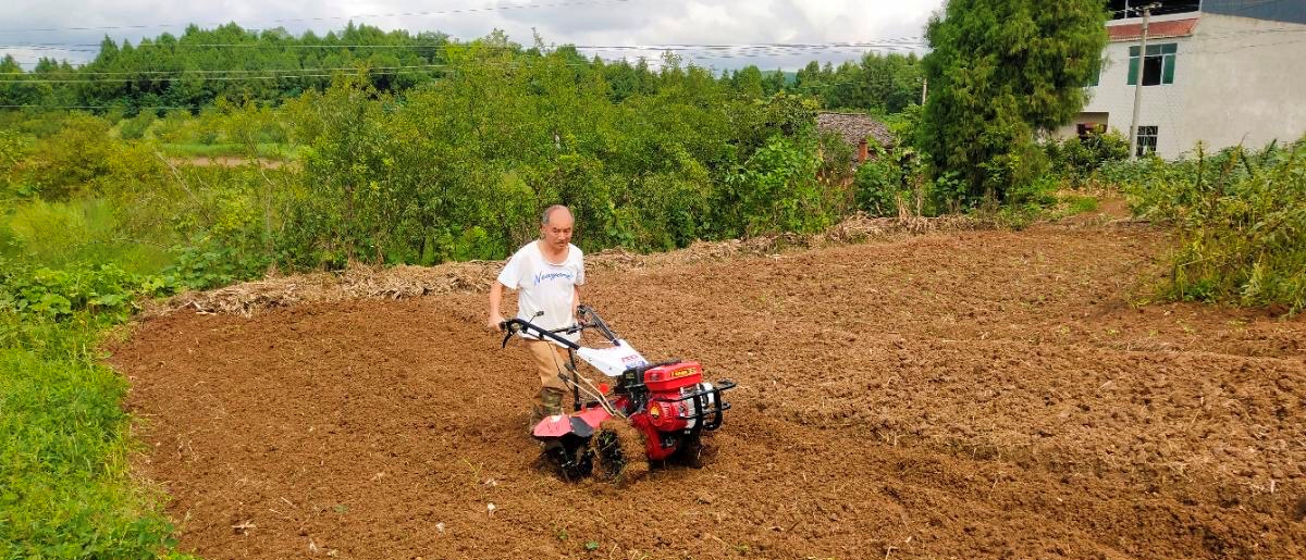 拼多多春耕節農資農具.png 拼多多春耕節農資農具.png