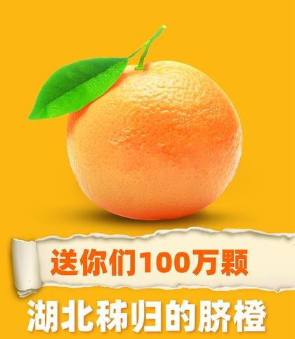 秭歸橙.jpg 秭歸橙.jpg